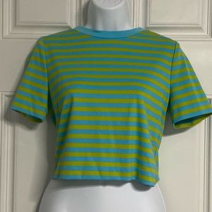 6- Blue-Green Stripe Cropped T-Shirt